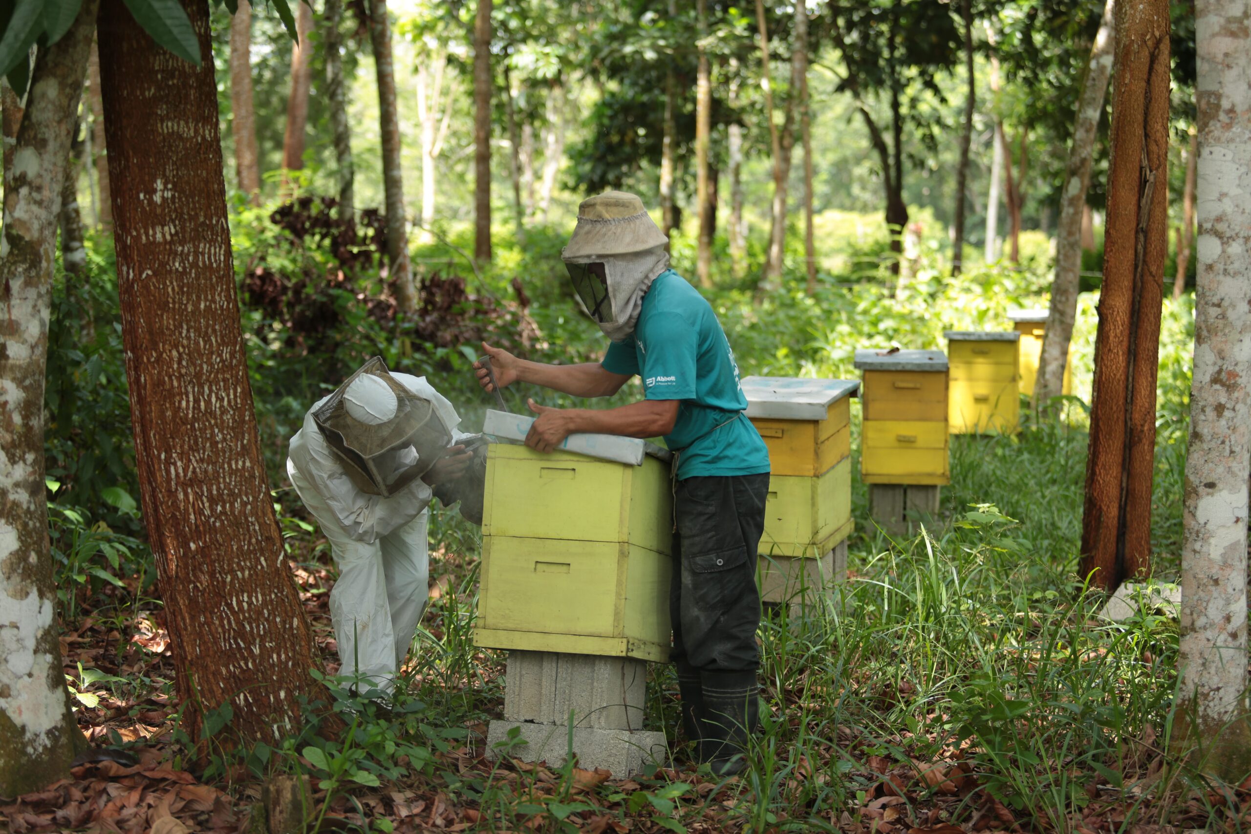 Abejas y comunidad: un modelo de colaboración sostenible y rentable