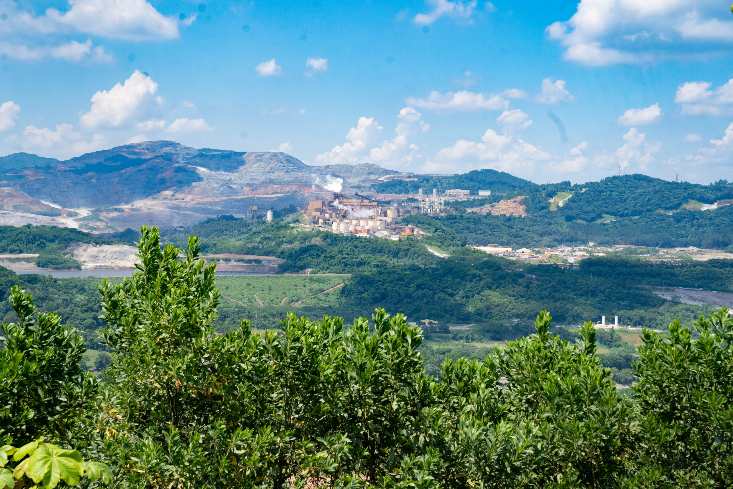Descubre cómo la investigación, la ciencia y la conservación han permitido conocer y proteger la extraordinaria biodiversidad que habita en Pueblo Viejo.