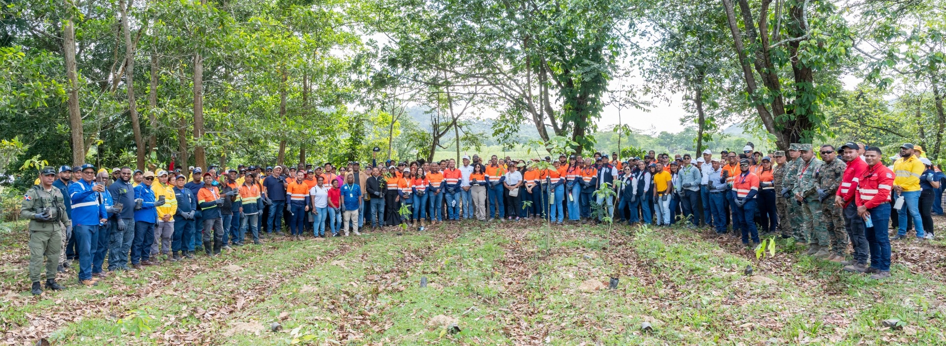 Barrick Pueblo Viejo reforesta 1.2 hectáreas de la cuenca del arroyo Margajita en Hatillo
